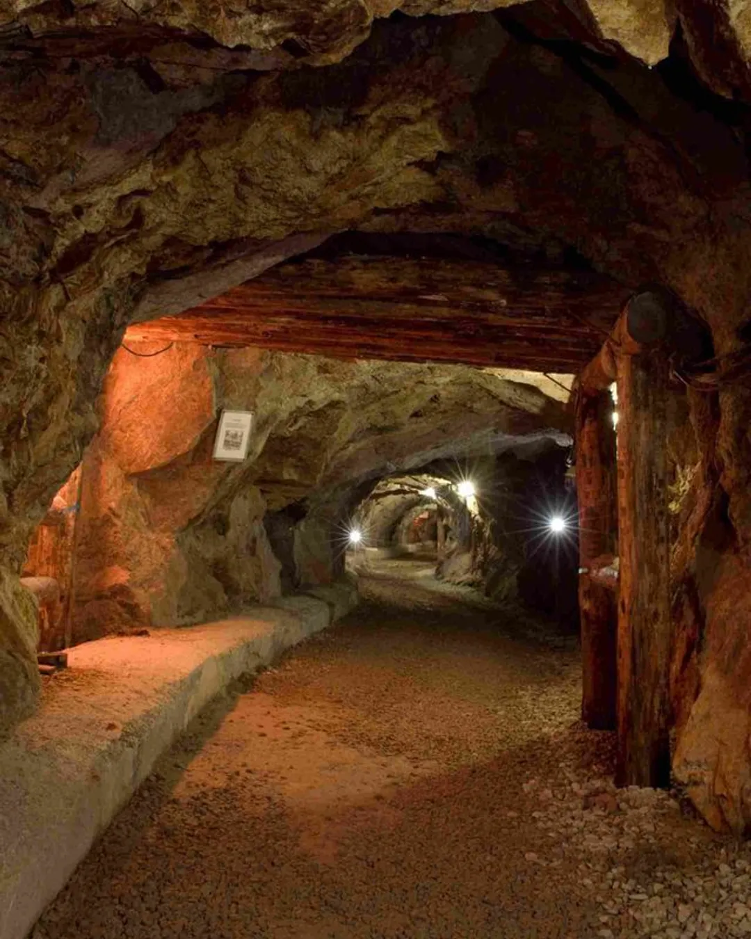 Gallery image 3
