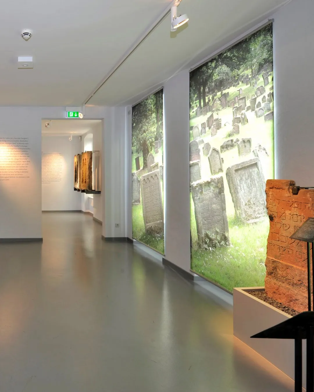 Gallery image 4