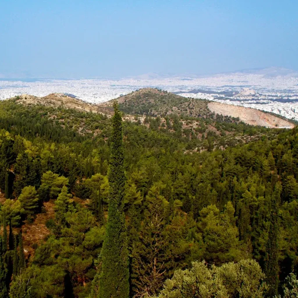 Hymettus, Kesariani & Vyronas Aesthetic Forest - 7