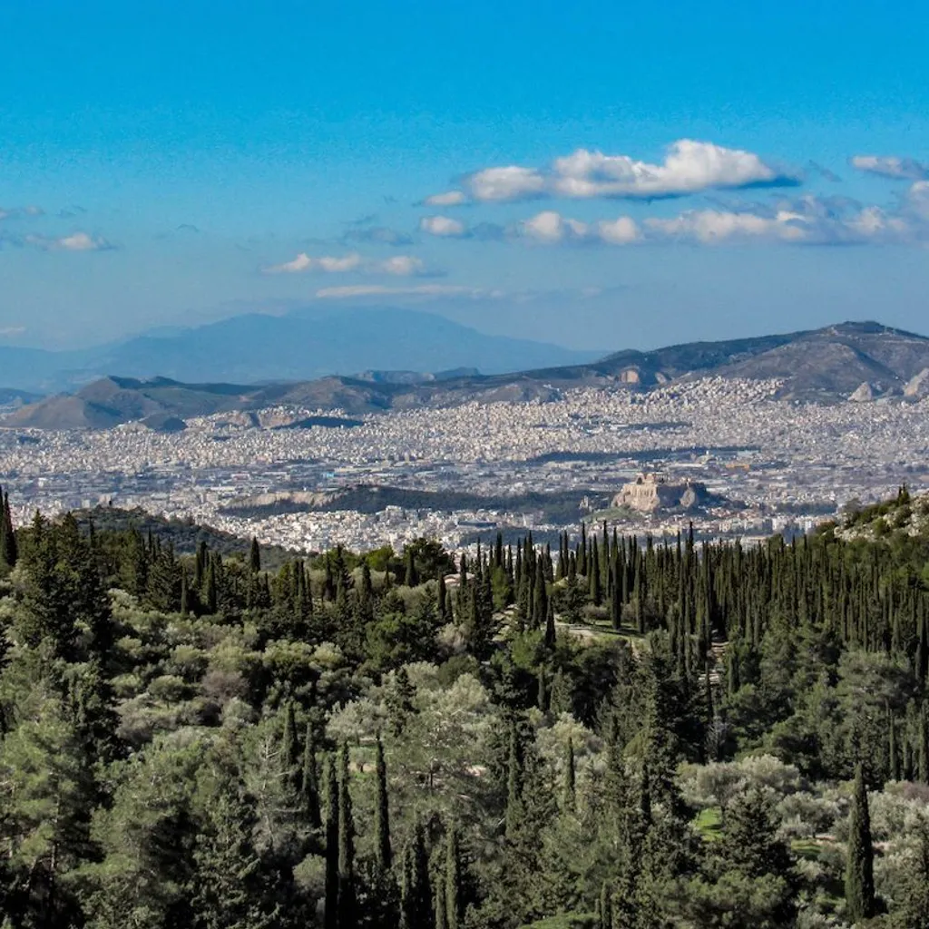 Hymettus, Kesariani & Vyronas Aesthetic Forest - 6