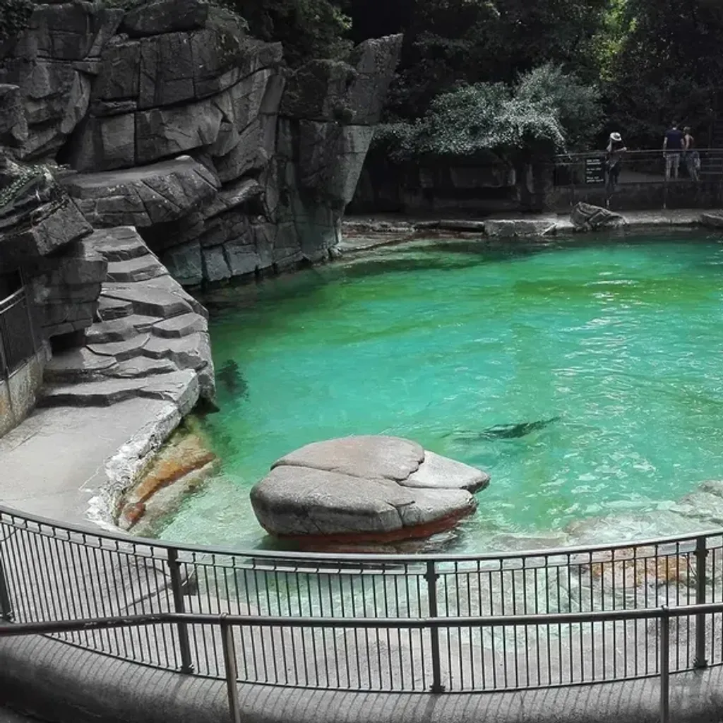 Zoo Basel - 7