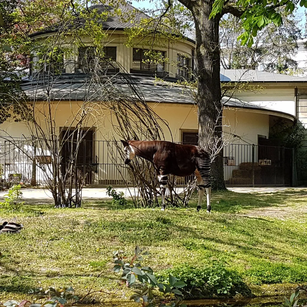 Zoo Basel - 2