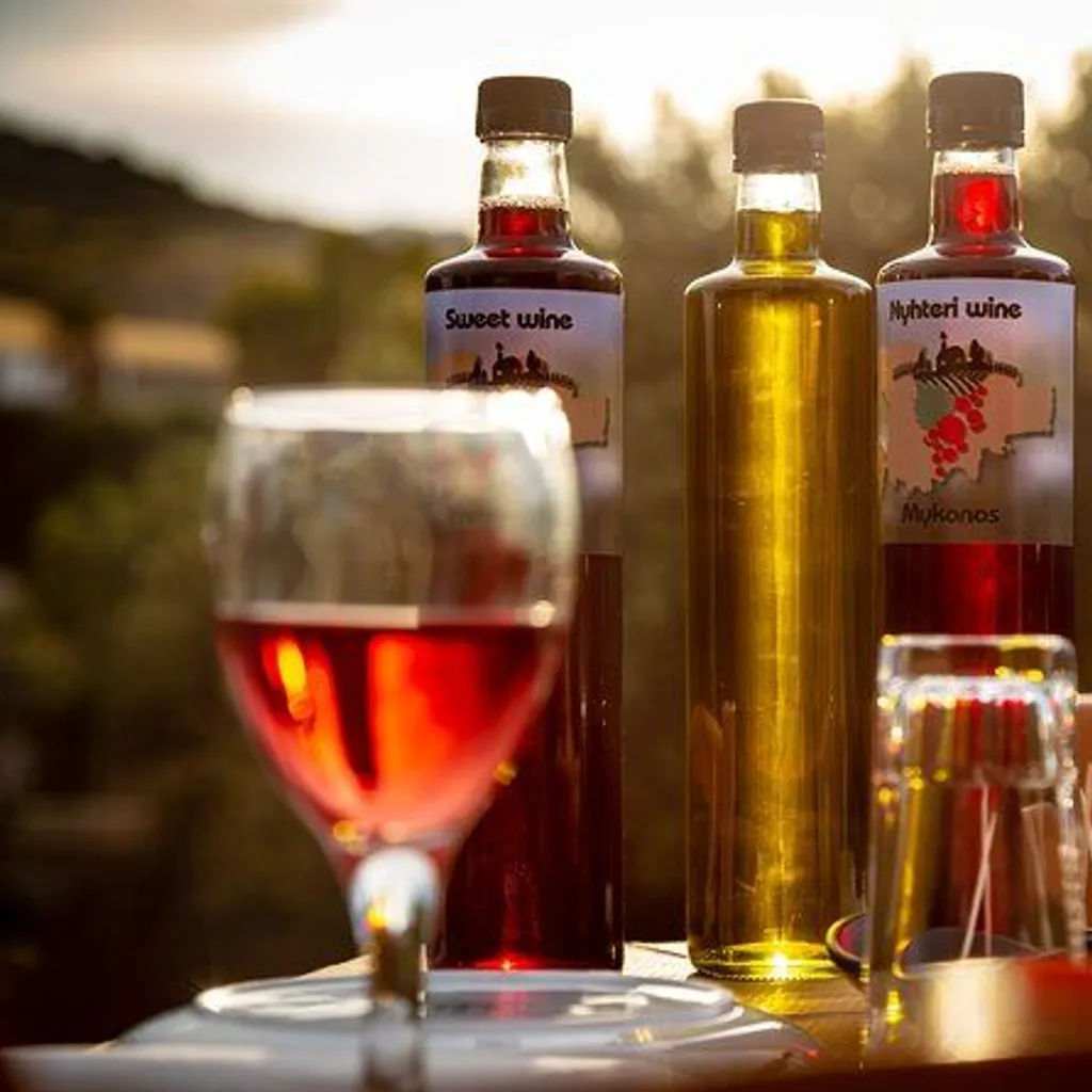 Tour In Mykonian Land & Wine Tasting Mykonos - 3
