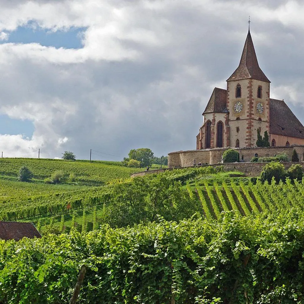 Grands Crus - Sentier Viticole - 2