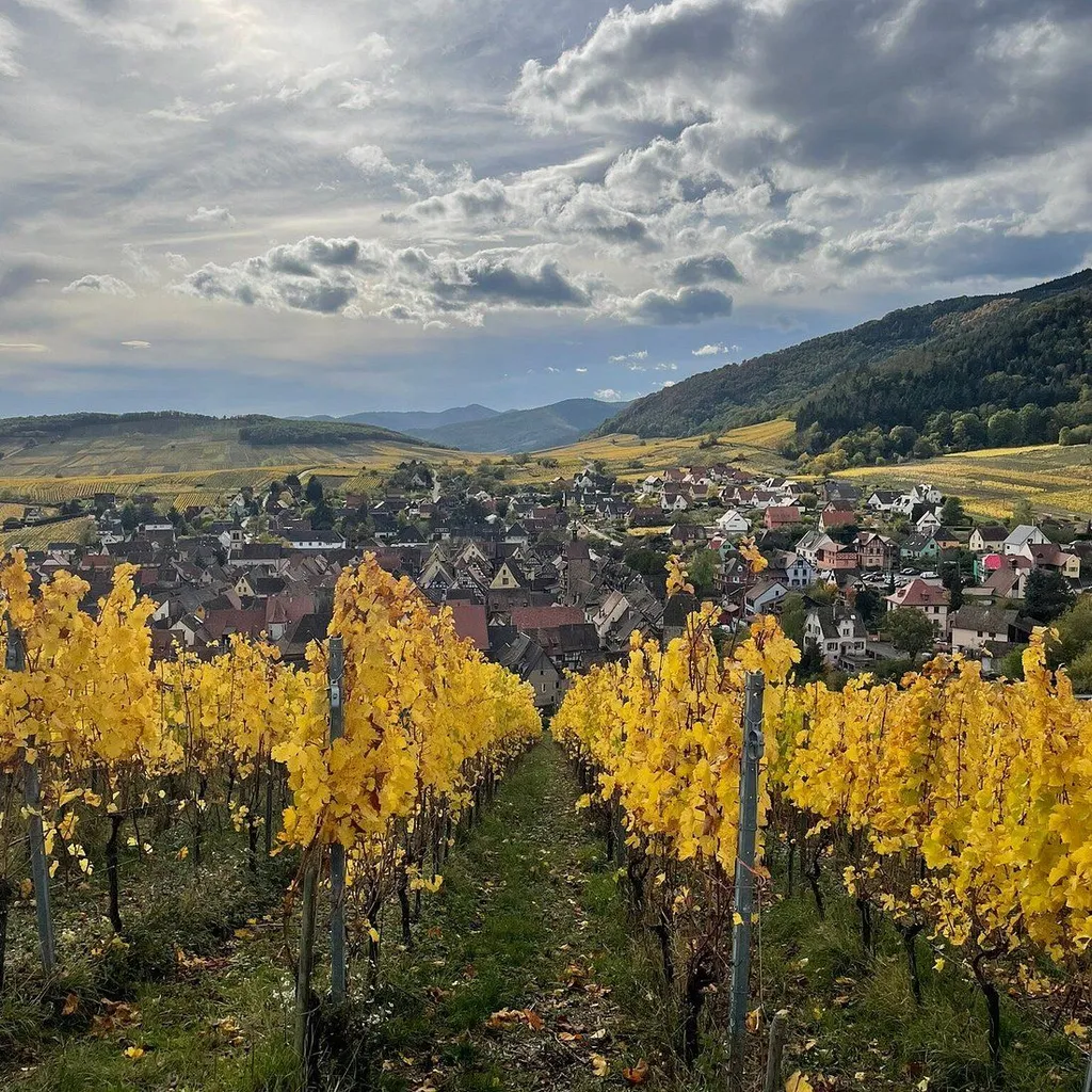 Grands Crus - Sentier Viticole - 1