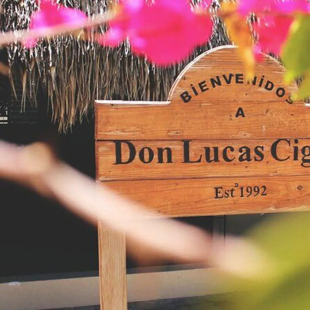 Don Lucas Cigars - 2
