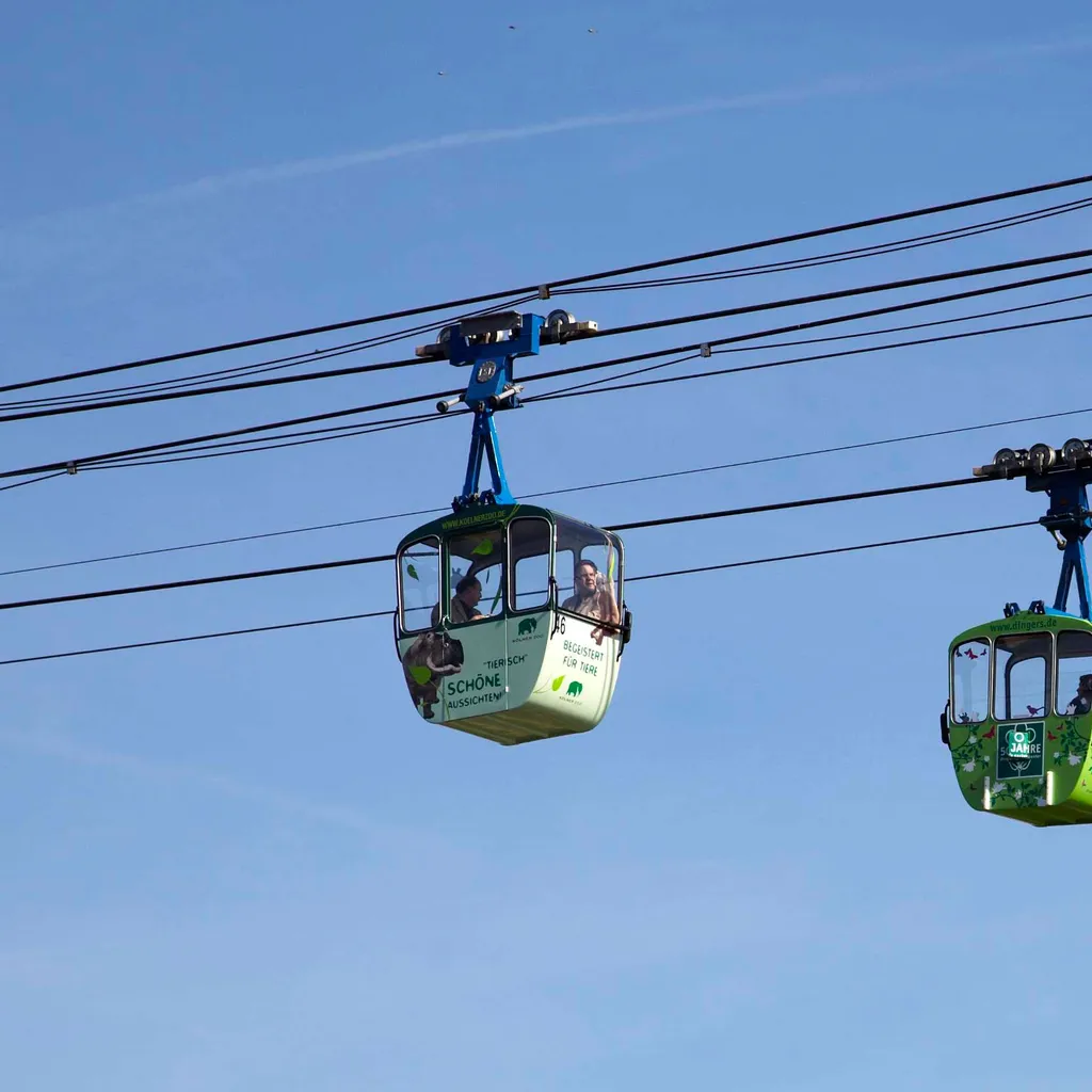 Rhein-Seilbahn - 2