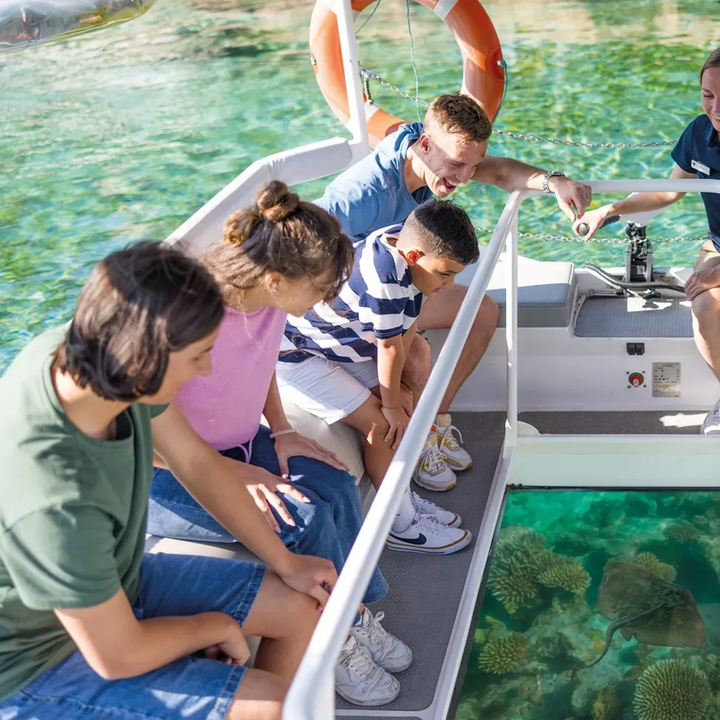 Dolin Dive Center - 1