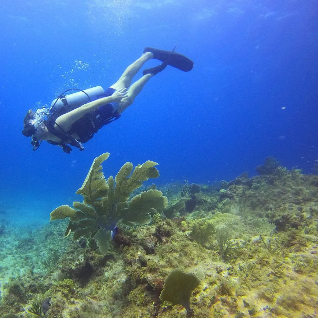 Dolin Dive Center - 2